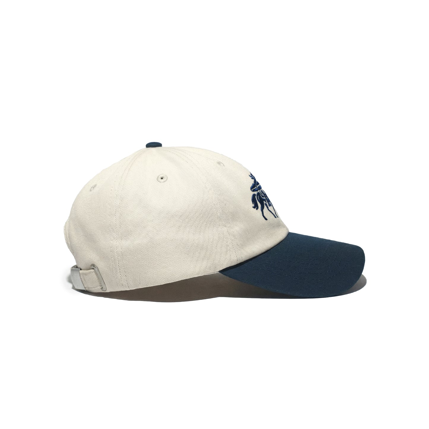The Dual Tone Surfing Cowboy Cap
