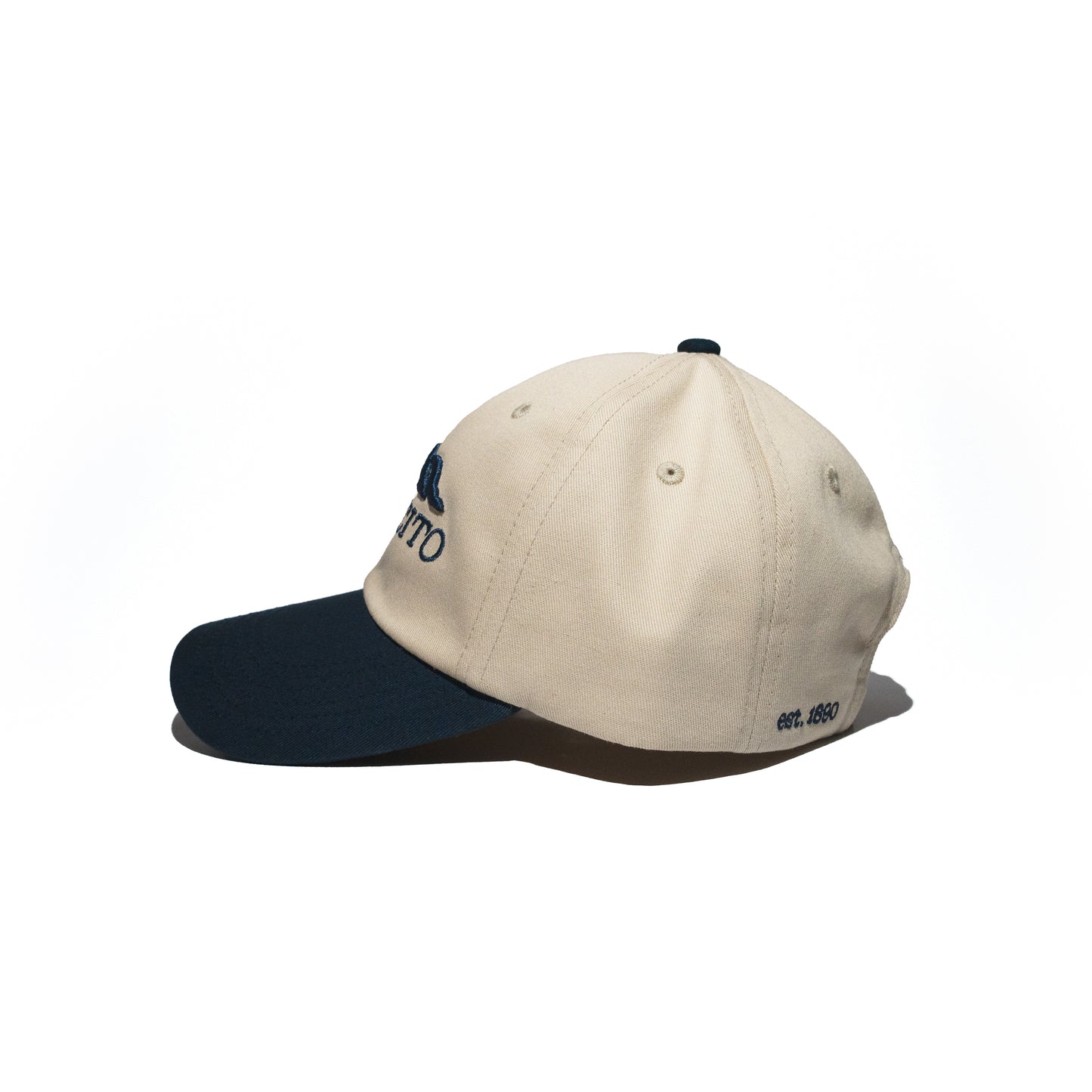 The Dual Tone Montecito Cap