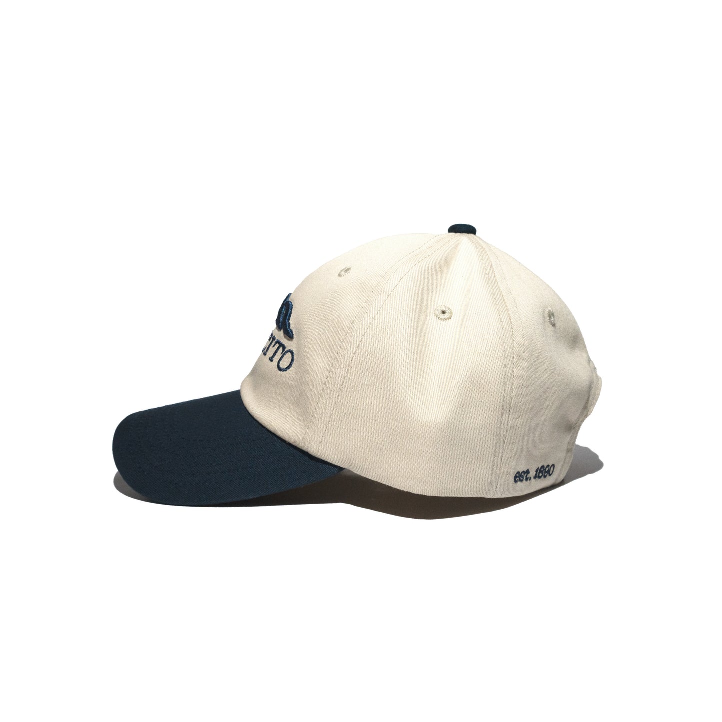 The Dual Tone Montecito Cap